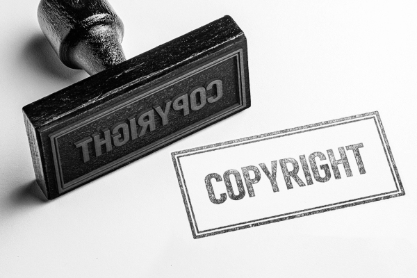 What! My Website Design was Stolen! What! My Website Design was Stolen!